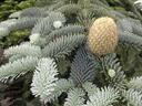 thumb_scotland_159.jpg