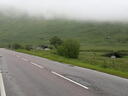 thumb_scotland_175.jpg