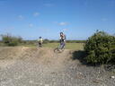 thumb_BBQ___New_Forest_046.jpg