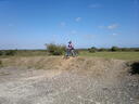 thumb_BBQ___New_Forest_047.jpg