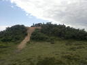 thumb_BBQ___New_Forest_064.jpg