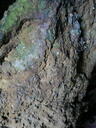 thumb_Carbis_July_008.jpg