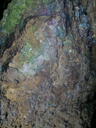 thumb_Carbis_July_009.jpg