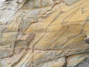 thumb_Carbis_July_019.jpg