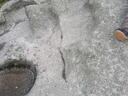 thumb_Carbis_July_036.jpg