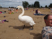 thumb_Frensham_Wales_and_rooms_037.jpg