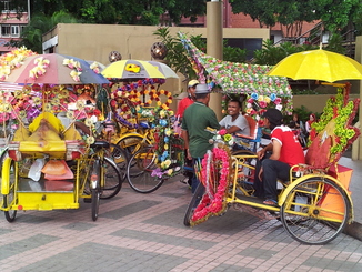 thumb_2011-Sumatra_019.jpg