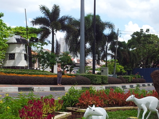 thumb_2011-Sumatra_029.jpg