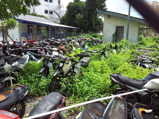 thumb_2011-Sumatra_031.jpg