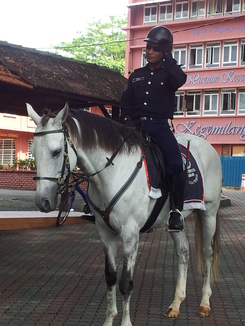 thumb_2011-Sumatra_061.jpg