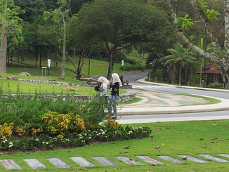 thumb_2011-Sumatra_099.jpg