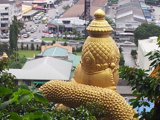 thumb_2011-Sumatra_121.jpg