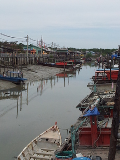 thumb_2011-Sumatra_163.jpg