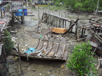 thumb_2011-Sumatra_170.jpg