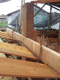 thumb_2011-Sumatra_181.jpg