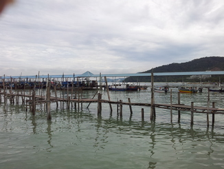 thumb_2011-Sumatra_239.jpg