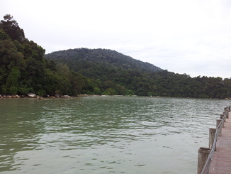 thumb_2011-Sumatra_240.jpg