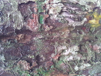 thumb_2011-Sumatra_249.jpg