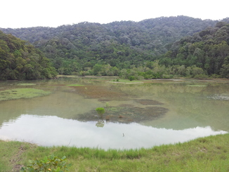 thumb_2011-Sumatra_258.jpg