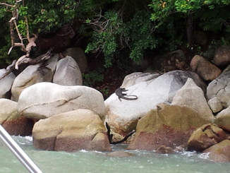 thumb_2011-Sumatra_262.jpg