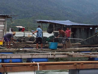 thumb_2011-Sumatra_265.jpg