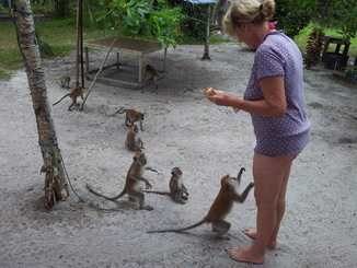 thumb_2011-Sumatra_284.jpg