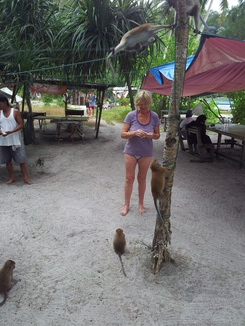 thumb_2011-Sumatra_292.jpg