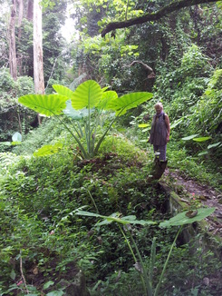 thumb_2011-Sumatra_297.jpg