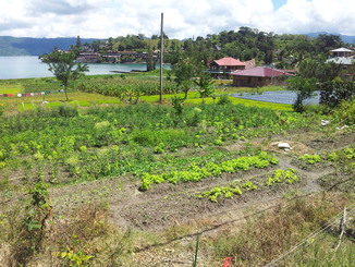 thumb_2011-Sumatra_306.jpg
