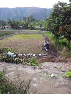 thumb_2011-Sumatra_312.jpg
