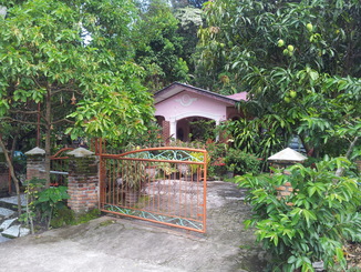 thumb_2011-Sumatra_328.jpg