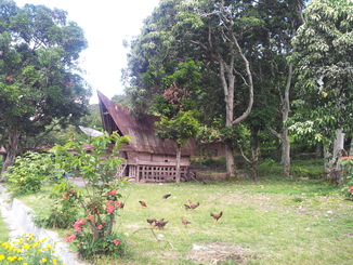 thumb_2011-Sumatra_330.jpg