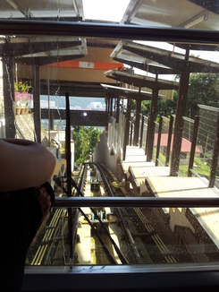 thumb_2011-Sumatra_331.jpg