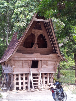 thumb_2011-Sumatra_332.jpg