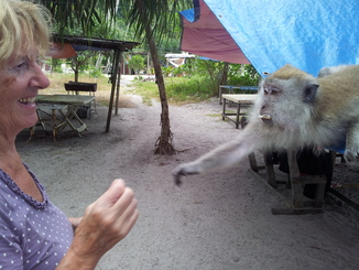 thumb_2011-Sumatra_333.jpg