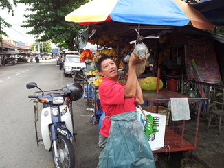 thumb_2011-Sumatra_335.jpg
