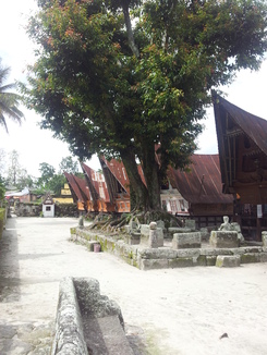 thumb_2011-Sumatra_358.jpg