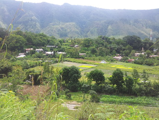 thumb_2011-Sumatra_360.jpg