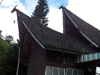thumb_2011-Sumatra_379.jpg