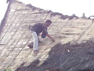 thumb_2011-Sumatra_381.jpg