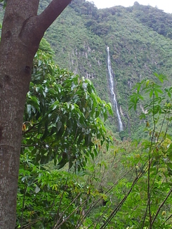 thumb_2011-Sumatra_397.jpg