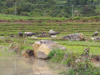 thumb_2011-Sumatra_399.jpg
