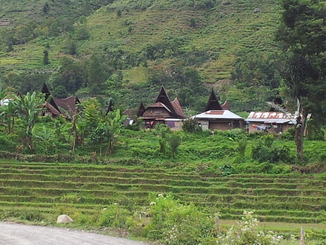 thumb_2011-Sumatra_400.jpg