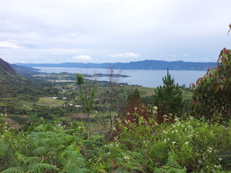 thumb_2011-Sumatra_403.jpg