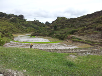 thumb_2011-Sumatra_415.jpg