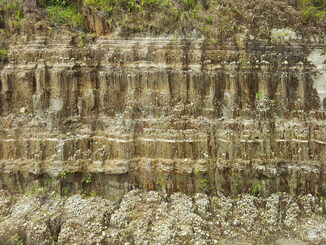 thumb_2011-Sumatra_419.jpg