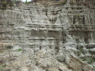 thumb_2011-Sumatra_421.jpg