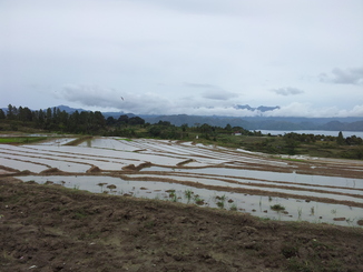 thumb_2011-Sumatra_422.jpg