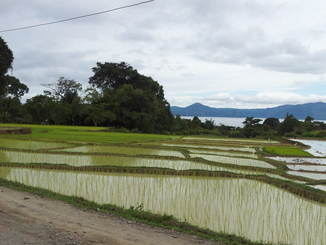 thumb_2011-Sumatra_424.jpg