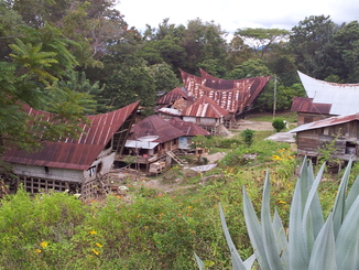 thumb_2011-Sumatra_437.jpg